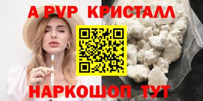 spice Кингисепп