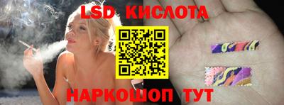 spice Кингисепп