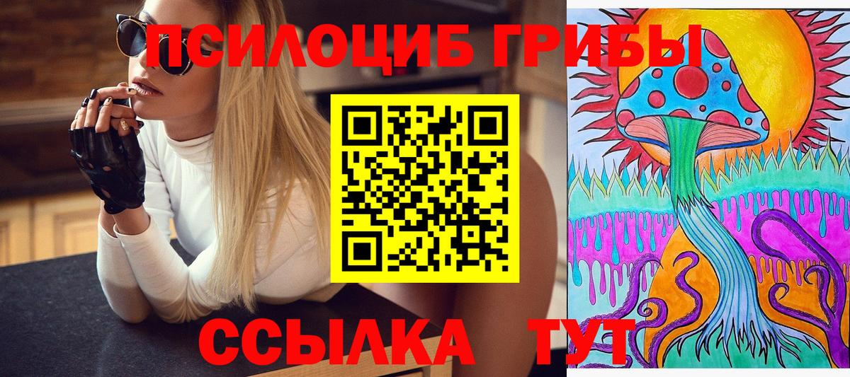 Галлюциногенные грибы Cubensis  Псилоцибиновые грибы Psilocybe  Котлас  Вход с VPN 